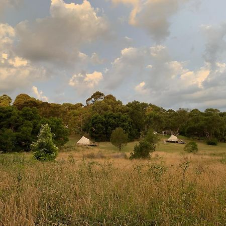 Iluka Retreat Glamping Village Red Hill South Exteriör bild