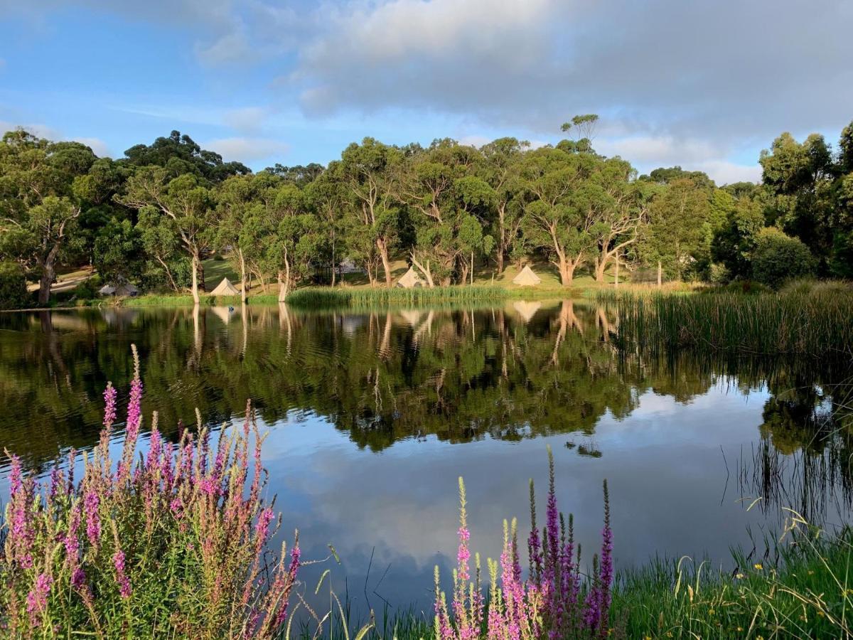 Iluka Retreat Glamping Village Red Hill South Exteriör bild