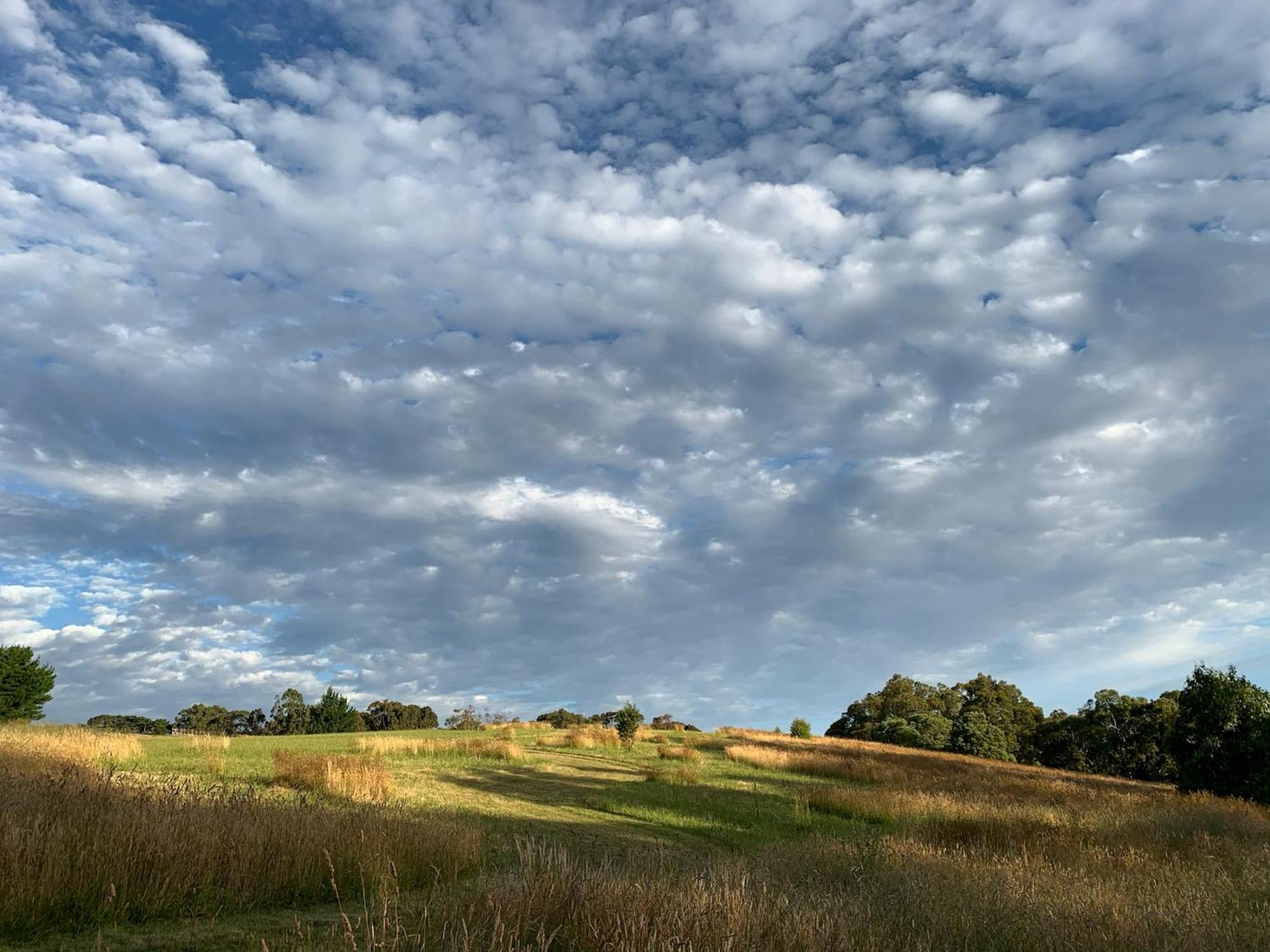Iluka Retreat Glamping Village Red Hill South Exteriör bild