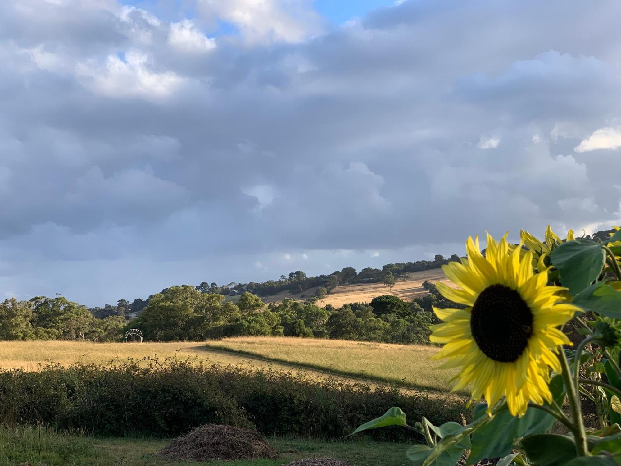 Iluka Retreat Glamping Village Red Hill South Exteriör bild